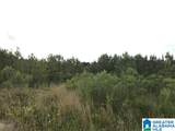 0 Waterford Trail - Photo 5