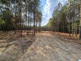 5.88 Acres Covington Avenue - Photo 2
