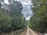 Lot 41 County Road 264 - Photo 10