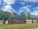 Lot 41 County Road 264 - Photo 3