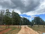 Lot 41 County Road 264 - Photo 4