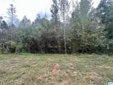 Lot 41 County Road 264 - Photo 8