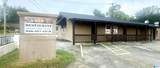 823 Tuscaloosa Avenue - Photo 1
