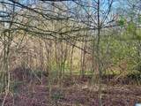 0 County Road 504 - Photo 5