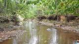 0 Tallasseehatchee Road - Photo 13