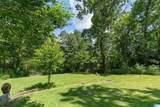 241 Big Springs Drive - Photo 49
