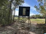 3265 County Road 53 - Photo 1