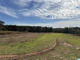 3265 County Road 53 - Photo 10