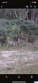 3265 County Road 53 - Photo 18