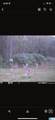 3265 County Road 53 - Photo 20