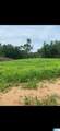 3265 County Road 53 - Photo 25