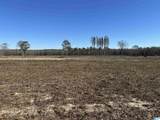 3265 County Road 53 - Photo 29