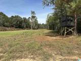 3265 County Road 53 - Photo 8