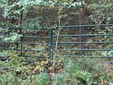  Gallant Road - Photo 19