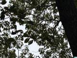  Cypress Drive - Photo 14