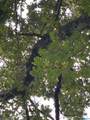  Cypress Drive - Photo 15