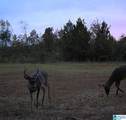 445 Blalock Lane - Photo 9