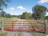 1749 Mccollum Church Road - Photo 59