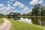 1619 Chace Terrace - Photo 45