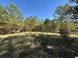 0 County Road 483 - Photo 14