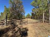 0 County Road 483 - Photo 2