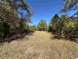 0 County Road 483 - Photo 3