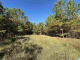 0 County Road 483 - Photo 4