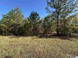 0 County Road 483 - Photo 6