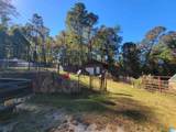 3156 Louina Road - Photo 21