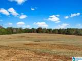 390 County Road 423 - Photo 37
