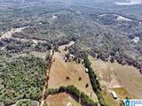 390 County Road 423 - Photo 39
