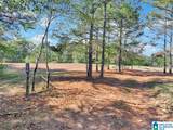390 County Road 423 - Photo 41