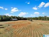 390 County Road 423 - Photo 42