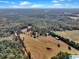 390 County Road 423 - Photo 46