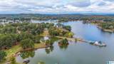 488 Rabbit Point Road - Photo 61