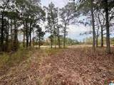 0 County Road 82 - Photo 3