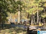 4568 Cabin Road - Photo 3