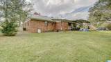 3820 Logan Martin Dam Road - Photo 4