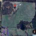 575 County Road 441 - Photo 4