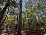 3701 Highway 132 - Photo 30