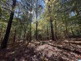 3701 Highway 132 - Photo 31