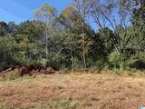 3701 Highway 132 - Photo 32