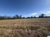 4353 County Road 232 - Photo 3