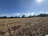 4353 County Road 232 - Photo 5