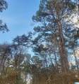  Longshore Street - Photo 2