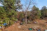 591 County Road 235 - Photo 65