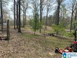 12523 Eve Lou Avenue - Photo 49