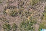 Lot 4 Highway 47 - Photo 12