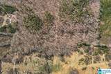 Lot 4 Highway 47 - Photo 13