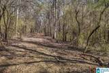 Lot 4 Highway 47 - Photo 16